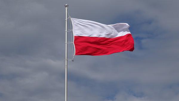 flagi polski wymiary